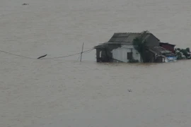 Một nhà dân tại xã Quảng Hải, thị xã Ba Đồn bị nước lũ bao vây sáng 1/11. (Ảnh: Đức Thọ/TTXVN)