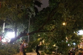 (Ảnh minh họa: Diệu Anh/TTXVN)