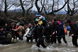 Người di cư và tị nạn cố tìm cách vượt sông sang Macedonia từ các trại tị nạn ở khu vực biên giới Hy Lạp-Macedonia ngày 14/3. (Nguồn: AFP/TTXVN)