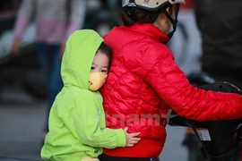 (Ảnh: Minh Sơn/Vietnam+)