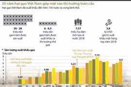[Infographics] 30 năm hạt gạo Việt Nam góp mặt vào thị trường toàn cầu