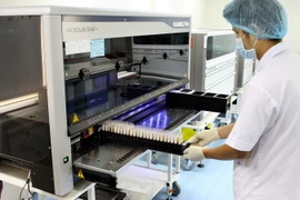 (Ảnh minh họa: Dương Ngọc/TTXVN)