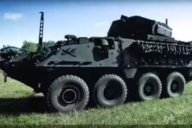 Xe bọc thép Stryker. (Nguồn: bangkokpost.com) 