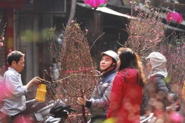 Chợ hoa Hàng Lược, Hà Nội. (Ảnh: Minh Đức/TTXVN)