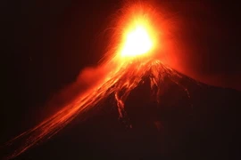 Ảnh minh họa. (Nguồn: EPA/TTXVN)