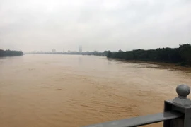 (Ảnh minh họa: Quốc Việt/TTXVN)