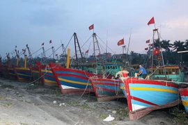 Ngư dân neo thuyền vào nơi trú bão tại cảng cá Tân Sơn, huyên Thái Thụy, Thái Bình. (Ảnh: Quốc Khánh/TTXVN)