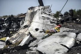 Xác máy bay MH17 của Hãng hàng không Malaysia Airlines bị bắn rơi gần làng Grabove, cách Donetsk, miền Đông Ukraine khoảng 80km, tháng 9/2014. (Nguồn: AFP/TTXVN) 