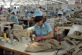 (Ảnh minh họa: Mạnh Linh/TTXVN)