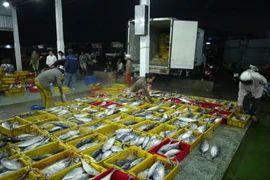 Một doanh nghiệp Singapore đã đầu tư 500.00 USD để nhập khẩu nông- thủy- hải sản từ Bến Tre về Singapore. (Ảnh: Thế Duyệt/TTXVN)