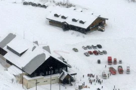 Xe cứu thương được huy động tới khu vực lở tuyết do núi lửa Kusatsu Shirane phun trào ở tỉnh Gunma, Nhật Bản ngày 23/1. (Nguồn: Kyodo/TTXVN) 