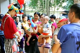 (Ảnh minh họa: Dương Ngọc/TTXVN)