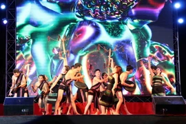 Một tiết mục của đoàn đến từ Việt Nam. (Ảnh: Phạm Kiên/Vietnam+)