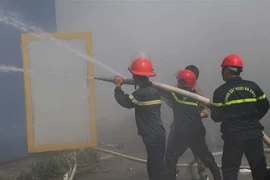 (Ảnh minh họa: Trịnh Duy Hưng/TTXVN) 