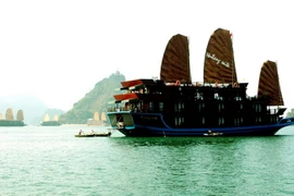 Vịnh Hạ Long. (Ảnh: Nguyễn Đán/TTXVN)