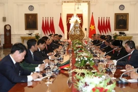 Tổng Bí thư Nguyễn Phú Trọng hội đàm với Tổng thống Indonesia Joko Widodo. (Ảnh: Trí Dũng/TTXVN)