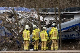 Lực lượng cứu hộ làm nhiệm vụ tại hiện trường vụ tai nạn. (Nguồn: AFP/TTXVN)