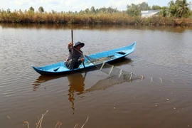 (Ảnh minh họa: Huy Hải/TTXVN)