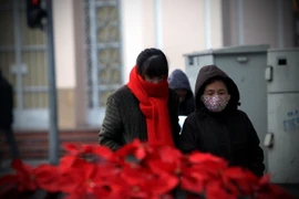 (Ảnh minh họa: Trọng Đạt/TTXVN) 