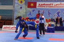 Các vận động viên nữ thi đấu đối kháng. (Ảnh: Tấn Đạt-Quang Trường/TTXVN)