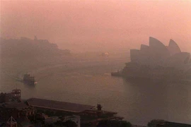 Khói mù ô nhiễm bao phủ Sydney, Australia. (Nguồn: AFP/TTXVN) 