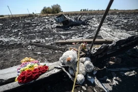 Tưởng niệm nạn nhân vụ rơi máy bay MH17 tại khu vực gần làng Hrabove, Ukraine ngày 26/7/2014. (Nguồn: AFP/TTXVN)