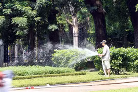 (Ảnh minh họa: Danh Lam/TTXVN) 