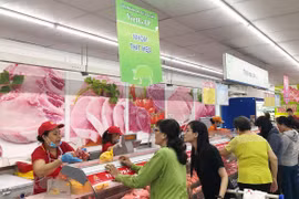 (Ảnh minh họa: Mỹ Phương/TTXVN) 
