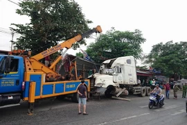 (Ảnh minh họa: Trần Hoàng Ngọc/TTXVN)