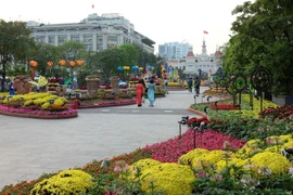 (Ảnh minh họa: Thế Anh/TTXVN)