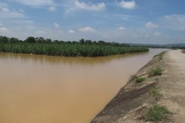 (Ảnh minh họa: Duy Hưng/TTXVN)