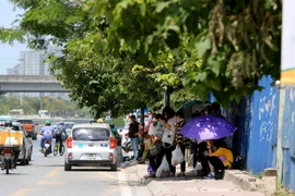 (Ảnh minh họa: Thành Đạt/TTXVN)