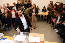 Ứng cử viên của đảng Nhân dân (PP) bảo thủ Pablo Casado bỏ phiếu tại một địa điểm bầu cử ở Madrid, ngày 10/11/2019. (Nguồn: AFP/TTXVN) 