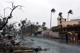 Cảnh ngổn ngang sau khi bão Fani đổ bộ vào bang Odisha, Ấn Độ ngày 3/5/2019. (Nguồn: THX/TTXVN) 