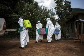 Nhân viên y tế chuyển thi thể một bệnh nhân nhiếm Ebola tại Mangina, gần Beni, tỉnh Bắc Kivu, Cộng hòa Dân chủ Congo, ngày 22/8/2018. (Nguồn: AFP/TTXVN) 