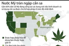 [Infographics] Gần 60% dân số Mỹ đang "sống chung" với cần sa