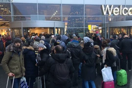 Hành khách tại sân bay Eindhoven. (Nguồn: omroepbrabant.nl) 