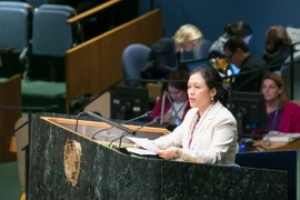 Đại sứ Nguyễn Phương Nga. (Nguồn: TTXVN)