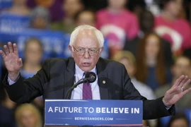 Thượng nghị sỹ Bernie Sanders. (Nguồn: AFP/TTXVN)