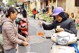 (Ảnh minh họa: Minh Đức/TTXVN)
