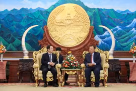 Đoàn đại biểu cấp cao Văn phòng Chủ tịch nước Việt Nam, do ông Đào Việt Trung, Ủy viên Trung ương Đảng, Chủ nhiệm Văn phòng làm Trưởng đoàn, đã được Tổng Bí thư, Chủ tịch nước Lào Bounnhang Volachith tiếp thân mật. (Ảnh: Phạm Kiên/TTXVN)
