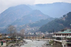 Khu vực Bakalot, Pakistan, ngày 26/2/2019. (Nguồn: AFP/TTXVN) 