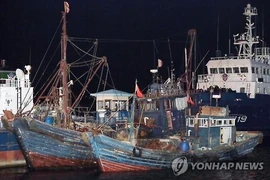 Ảnh minh họa. (Nguồn: Yonhap News)