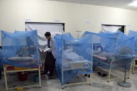 Bệnh nhân nhiễm sốt xuất huyết điều trị tại bệnh viện ở Pakistan. (Ảnh minh họa: AFP/TTXVN)