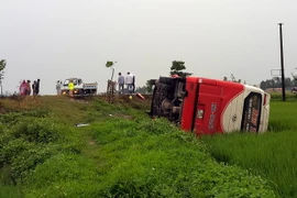 (Ảnh minh họa: Tá Chuyên/TTXVN)