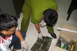 (Ảnh: Dương Chí Tưởng/TTXVN)