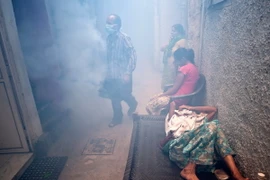 Vắcxin phòng sốt xuất huyết có thể ra mắt vào năm 2015