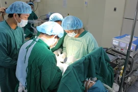 (Ảnh minh họa: Lê Xuân/TTXVN)