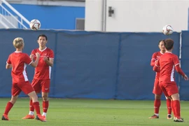 Các cầu thủ Việt Nam trong một buổi tập. (Ảnh: Hoàng Linh/TTXVN) 