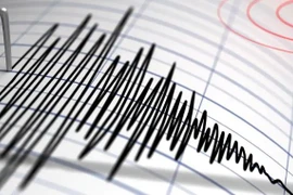 Ảnh minh họa. (Nguồn: NT News) 